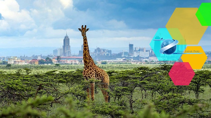 جاذبه های گردشگری نایروبی ، زیما سفر 